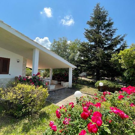Vila Rose Country Cassano delle Murge Exteriér fotografie