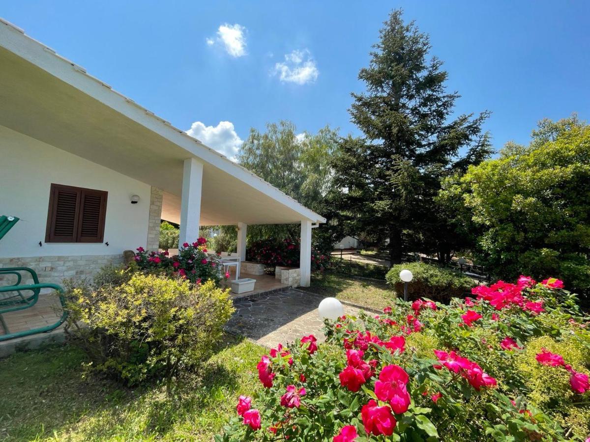 Vila Rose Country Cassano delle Murge Exteriér fotografie