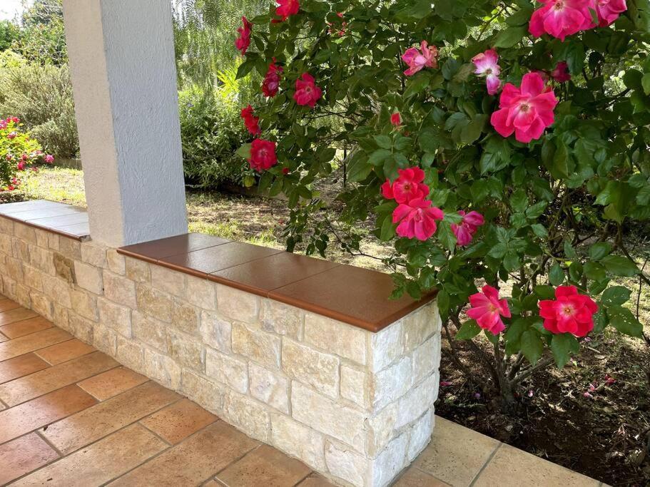 Vila Rose Country Cassano delle Murge Exteriér fotografie